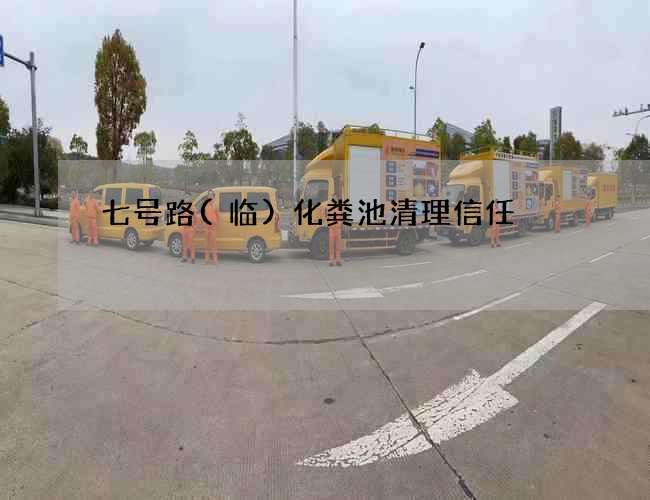 七號路(臨)化糞池清理信任
