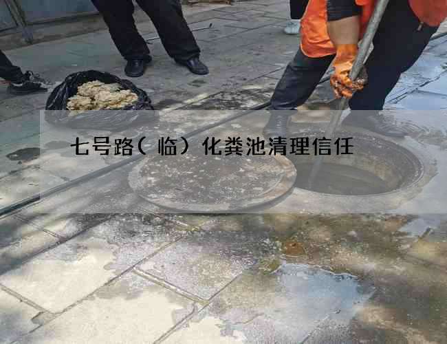 七號路(臨)化糞池清理信任