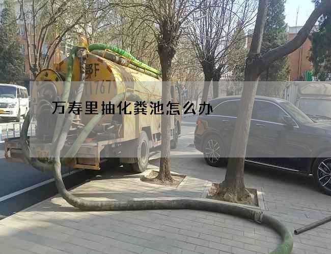 萬壽里抽化糞池怎么辦?