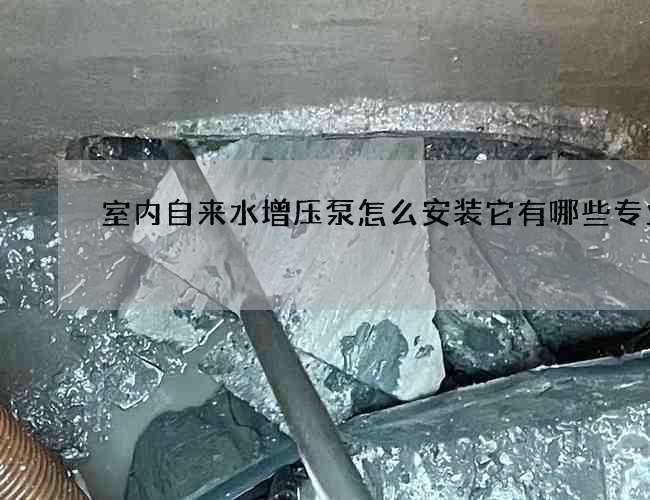 室內(nèi)自來水增壓泵怎么安裝它有哪些專業(yè)