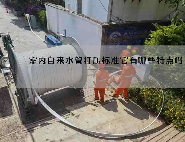 室內(nèi)自來水管打壓標(biāo)準(zhǔn)它有哪些特點(diǎn)嗎