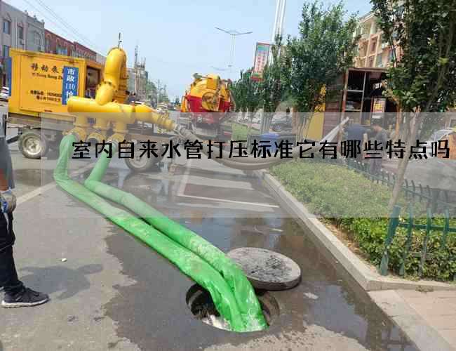 室內(nèi)自來水管打壓標(biāo)準(zhǔn)它有哪些特點(diǎn)嗎