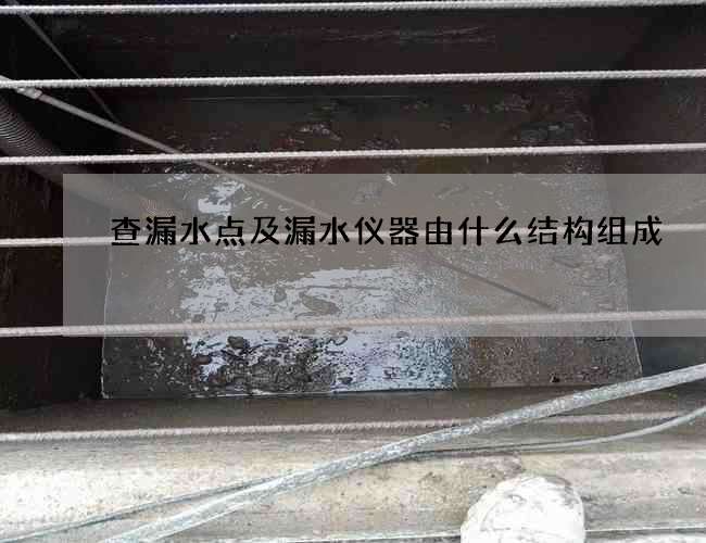 查漏水點(diǎn)及漏水儀器由什么結(jié)構(gòu)組成